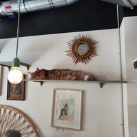  at Café Casa Del Gato in Zurich