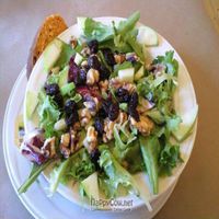 Fresh Apple and Walnut Salad (vegan) at The Casual Chef Cafe in Union Pier