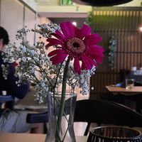  at Secret Garden in Munich