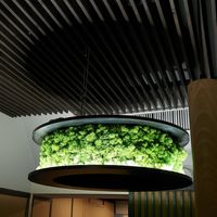 Moss air purifier (?) at Secret Garden in Munich