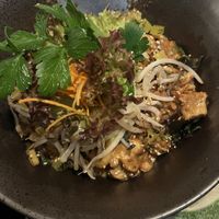 No 77  at Secret Garden in Munich