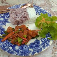 veggie protein curry & rice at Cooking Garden Cafe & Eatery in Mae Sai