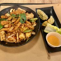 On the left Tornado tempeh and noodles: tasty and lots of tempeh & tofu, but lacked veggies and was a small portion (lunch size). On the right vegan gyozas: nice, but not special. at WOK! Asian Street Food in Utrecht
