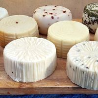  at Le Delizie del Caseificio Vegano in Bologna