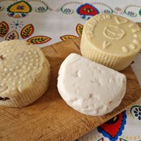  at Le Delizie del Caseificio Vegano in Bologna