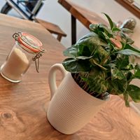 Inside at Brouillon in Paris