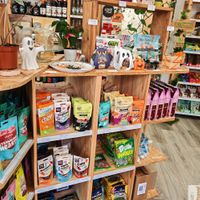  at Envie Végane in Strasbourg