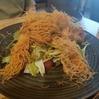 V61 at Vevi Restaurant II in Vienna