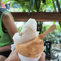 Tarrina mediana de tropical y guanábana at Gelato in Cahuita