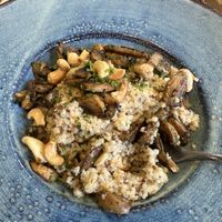 Vegan risotto  at Le Murmure Fracassant in Paris