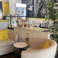   at Yellowish in Hamilton