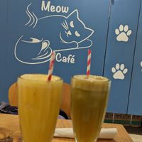 Fresh juices at Meow Cafe in Epping