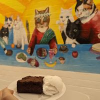 Hot chocolate brownie, coconut icecream at Meow Cafe in Epping