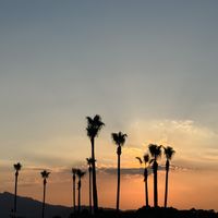   at Ssong Thai in Jeju