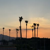 View   at Ssong Thai in Jeju