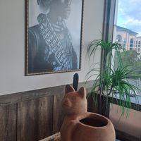  at Ssong Thai in Jeju