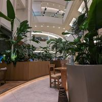  at Evergreen Organics - Gate Mall in Doha