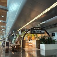 Qatars first vegan cafe (have the best soya cappuccino ive ever had) ive also tried their veggie snacks with hummus and loved that  at Evergreen Organics - Gate Mall in Doha