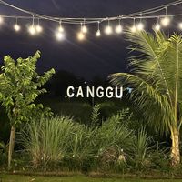   at Burgreens Canggu - Healthy Plant-Based Eatery in Canggu