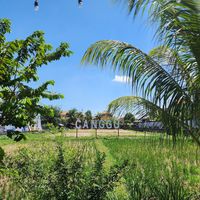  at Burgreens Canggu - Healthy Plant-Based Eatery in Canggu