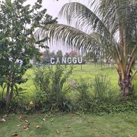   at Burgreens Canggu - Healthy Plant-Based Eatery in Canggu