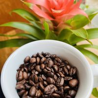   at Molokini in Gothenburg