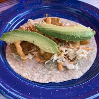   at La PlantisquerÍa in Mexico City