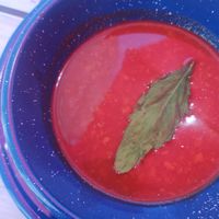 🤩 at La PlantisquerÍa in Mexico City