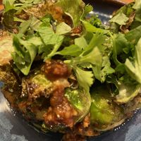 Vegan brussel sprouts #Veganuary at Dip Dash in Dubai