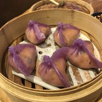   at Dip Dash in Dubai