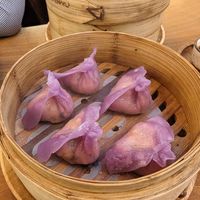  at Dip Dash in Dubai