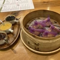   at Dip Dash in Dubai