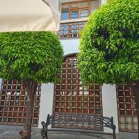 Lovely courtyard at Cosmopolitan Food in Cordoba