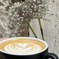   at Kakantun in Split