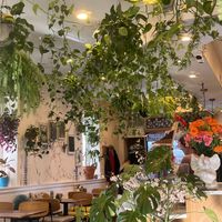   at Botanika Cafe in Ridgefield