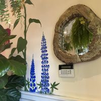   at Botanika Cafe in Ridgefield