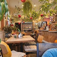 The vibe at Botanika Cafe in Ridgefield