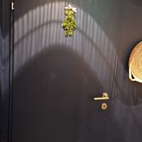  at The Naked Indigo in Innsbruck