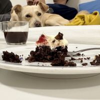 Brownies  at Café In The Ghetto in Brno