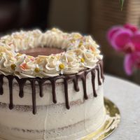 Vegan triple-layer almond sponge with almond buttercream and chocolate ganache drip  at Cakestar Dayton in Dayton