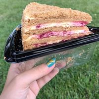 Red berries (?) cake at CicoCebali Vegan Mutfak in Istanbul