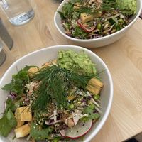 Double trouble bowls  at Cactus Kangaroo Island in Kangaroo Island