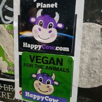  at Dream House in Sofia