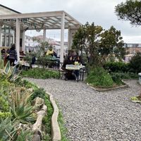 The garden  at Veggie Beer House in Valparaiso