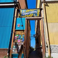  at Veggie Beer House in Valparaiso