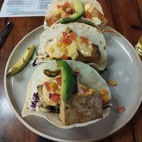 Amazing tofu tacos at Paddys Eat & Drink in Kalgoorlie