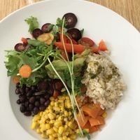 Vegan burrito bowl at An Octopus' Garden Cafe in Alma