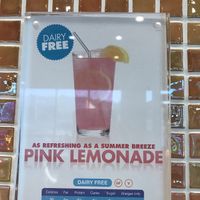 Vegan flavors  at Orange Leaf Frozen Yogurt in Bismarck