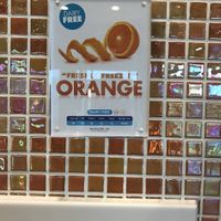 Vegan flavors   at Orange Leaf Frozen Yogurt in Bismarck