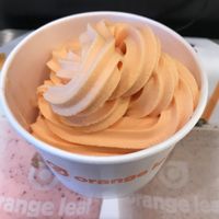 Vegan orange   at Orange Leaf Frozen Yogurt in Bismarck